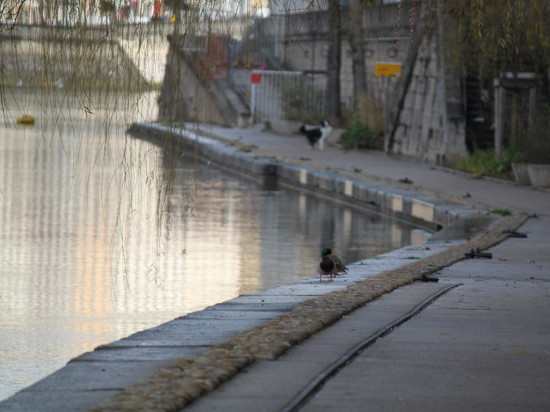 Après les quais du Rhône, les berges de Saône ferment à leur tour