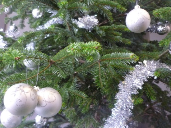 Que faire de son sapin après les fêtes ? Que faire de son sapin après les fêtes ?