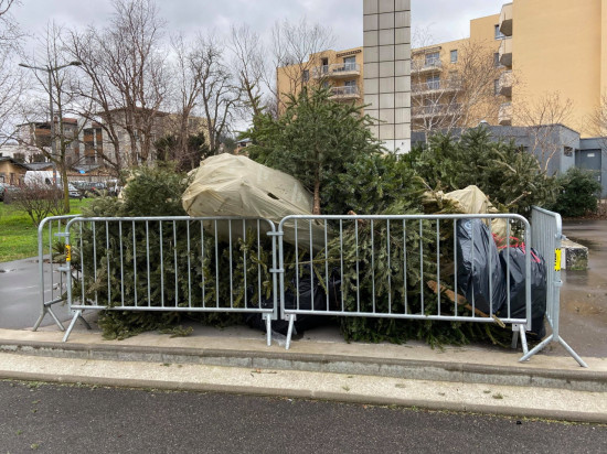 Lyon : dernier jour de la campagne de collecte et de recyclage des sapins Lyon : dernier jour de la campagne de collecte et de recyclage des sapins