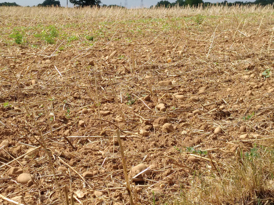 Sécheresse et glissement de terrain : plusieurs communes du Rhône reconnues en état de catastrophe naturelle Sécheresse et glissement de terrain : plusieurs communes du Rhône reconnues en état de catastrophe naturelle