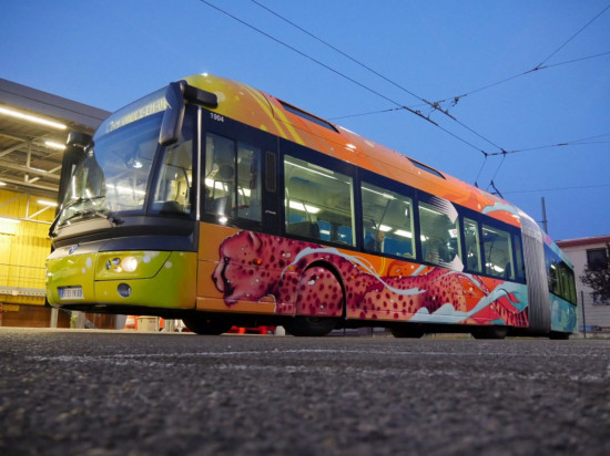 Lyon : le Sytral dévoile un bus tagué