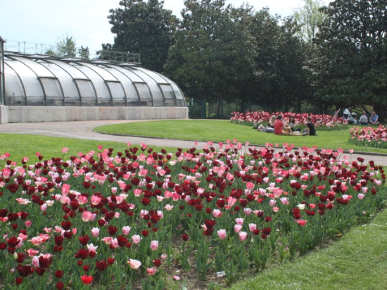 Flirts et pique-nique organisés à la Tête d’or Flirts et pique-nique organisés à la Tête d’or