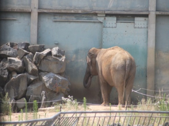 Rétro 2013 : les faits de société marquants à Lyon