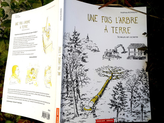 Il n’y en a pas que pour les sapins Il n’y en a pas que pour les sapins