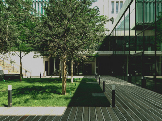 L’Université de Lyon a repris sa marche vers l’Idex