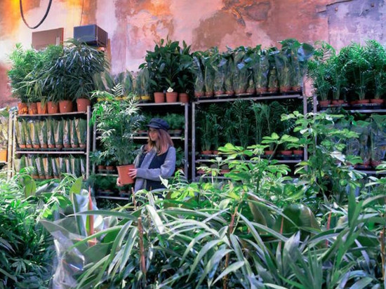 Que faire à Lyon ce week-end du 12, 13 & 14 janvier 2018 ?