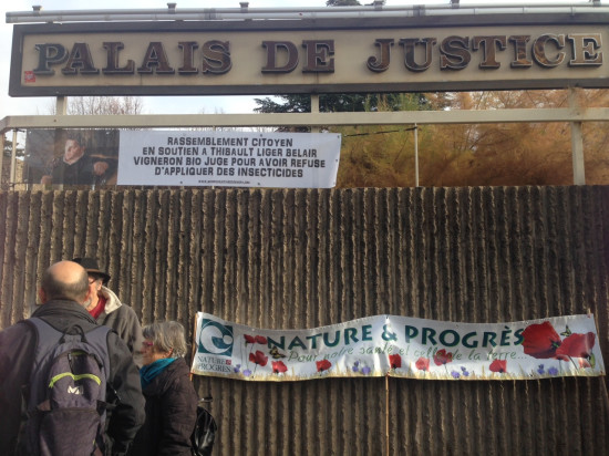 La nullité des poursuites requise pour le vigneron qui avait refusé de traiter ses vignes dans le Beaujolais