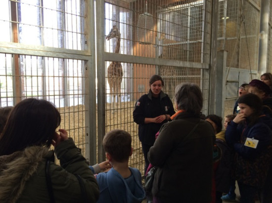 Les coulisses du zoo de la Tête d'Or se dévoilent