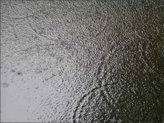 Episode pluvieux exceptionnel sur le Rhône