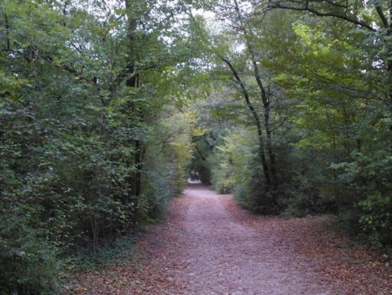 Le parc de Lacroix-Laval évacué après une fausse alerte