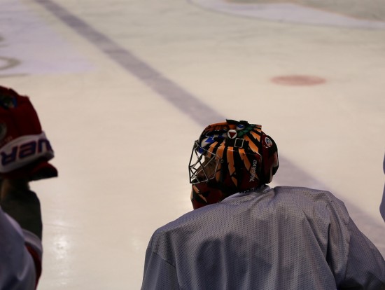 Ligue Magnus : les Lions battent Amiens (2-1) qu'ils retrouveront lors des playoffs