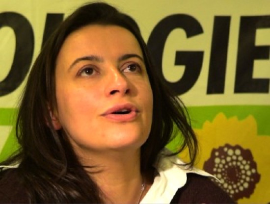 Un accord national trouvé entre le PS et les Verts... ou pas ?