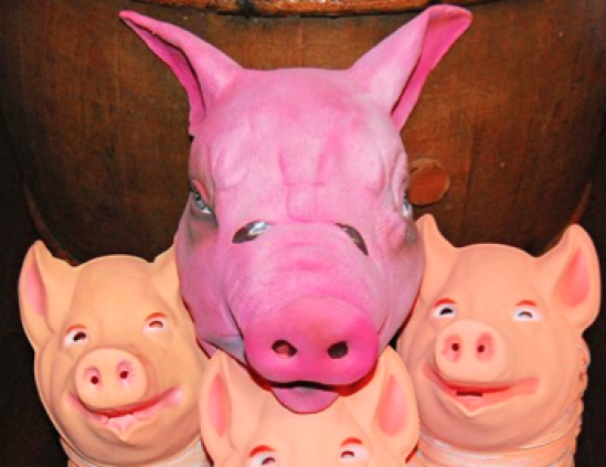 Marche des cochons : le recours a été déposé Marche des cochons : le recours a été déposé