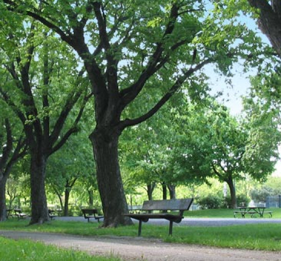 Une opération de sensibilisation à la propreté particulière à Villeurbanne