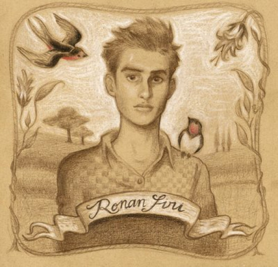 Le Caladois Ronan Siri en première partie de Benjamin Biolay à Villefranche