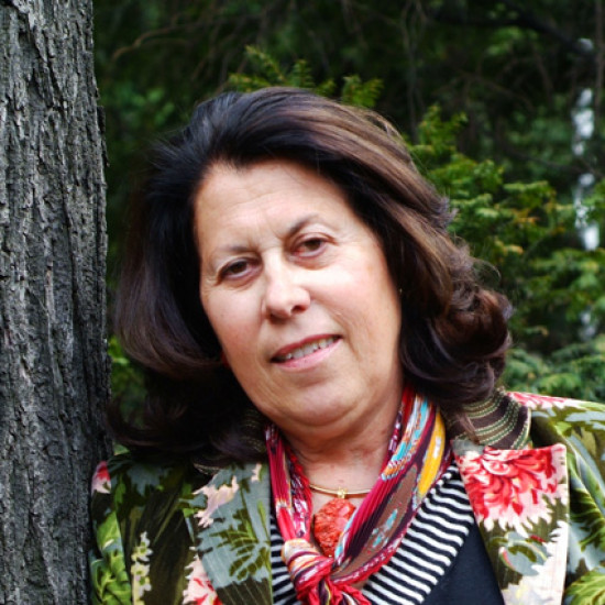 Dardilly : une bombe aux portes de Lyon