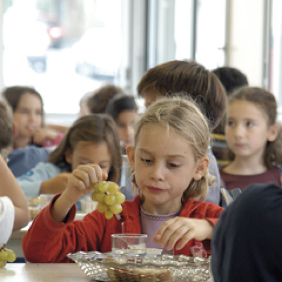 Menu sans viande : "De la provocation"