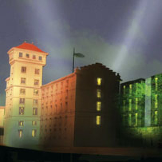 Villeurbanne fait son cinéma