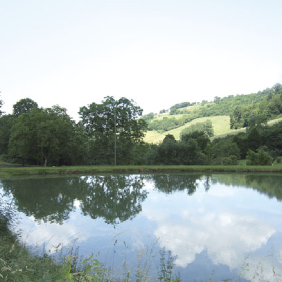 Un étrange assassinat