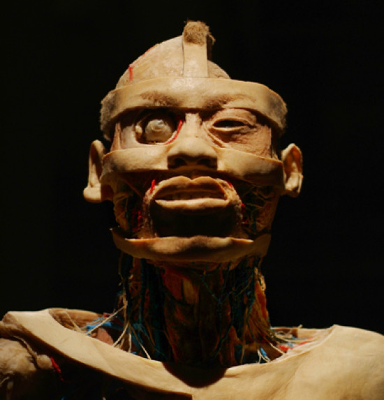 Our Body : l'expo choc