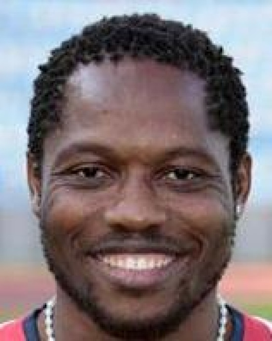 Makoun vers l'OL Makoun vers l'OL