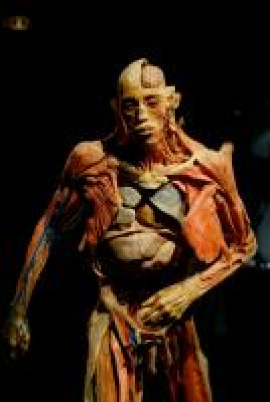 "Our Body" continue de provoquer la polémique