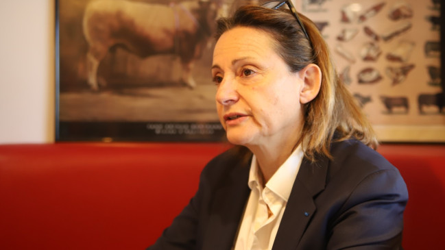 Villeurbanne : Sophie Cruz appelle &agrave; un "vote utile" pour peser face &agrave; une gauche divis&eacute;e