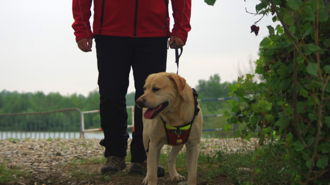 Miribel-Jonage : la mort d&rsquo;un chien inqui&egrave;te, les autorit&eacute;s r&eacute;pondent sur la baignade