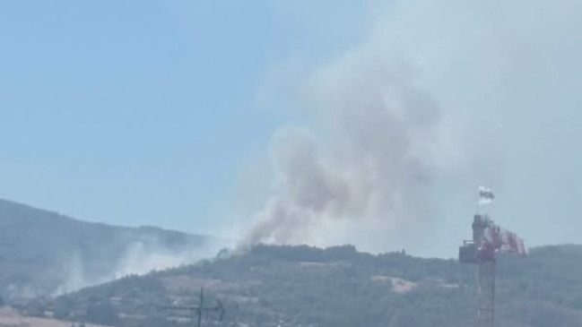 Un feu de broussailles se propage près de Lyon : 15 hectares touchés, 115 pompiers mobilisés Un feu de broussailles se propage près de Lyon : 15 hectares touchés, 115 pompiers mobilisés