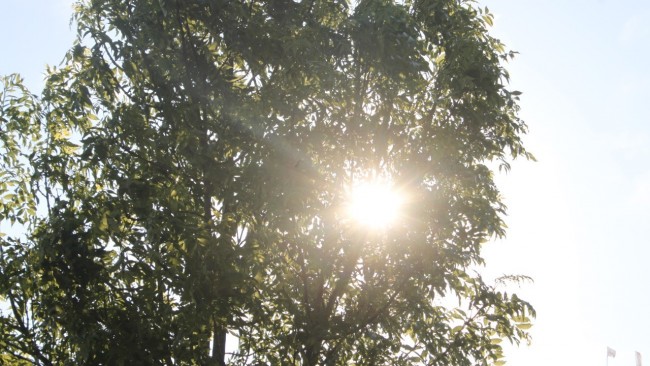 M&eacute;t&eacute;o &agrave; Lyon : soleil et chaleur de retour cette semaine dans le Rh&ocirc;ne !