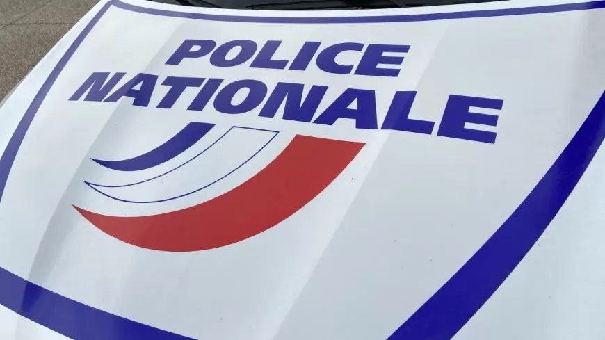 Lyon : après avoir volé des téléphones, un ado frappe et insulte les policiers