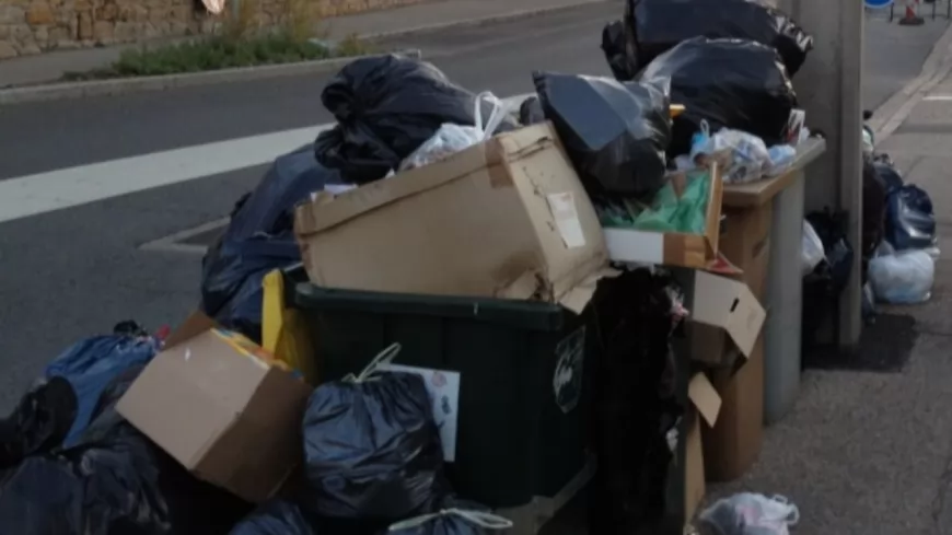 Métropole de Lyon : un appel à projets pour la réduction des déchets lancé ce lundi