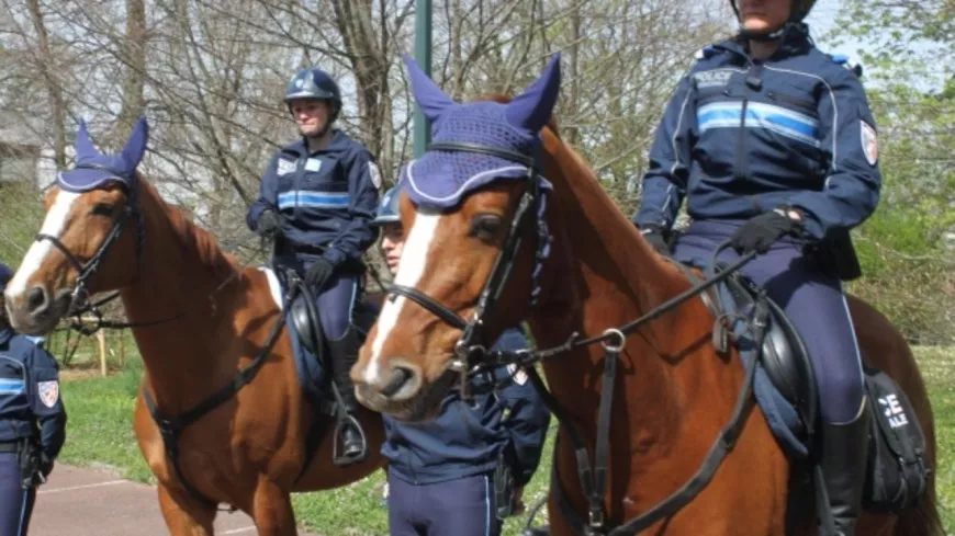 "Communication non-violente", policiers à cheval ou à vélo :  le plan des écologistes pour plus de sécurité à Lyon