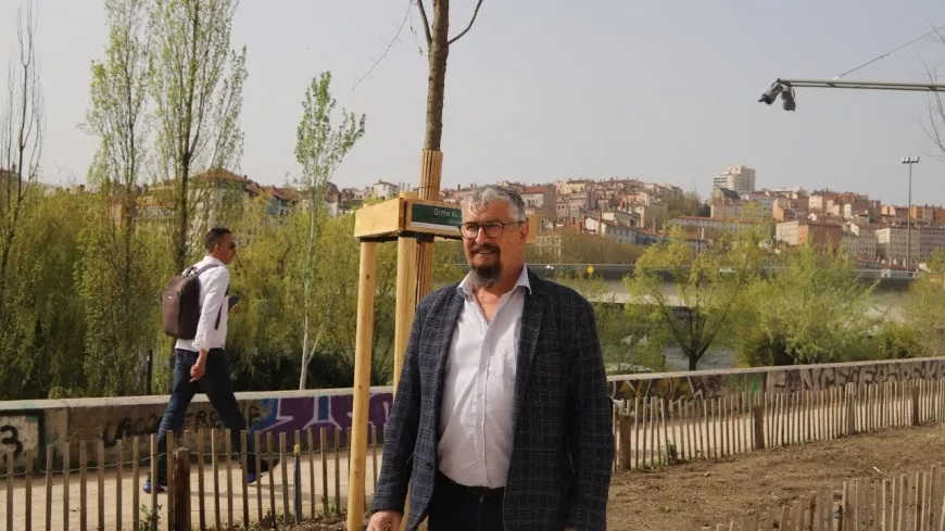 Lyon : trois nouvelles espèces d'arbres sur le quai Sarrail pour remplacer les platanes malades