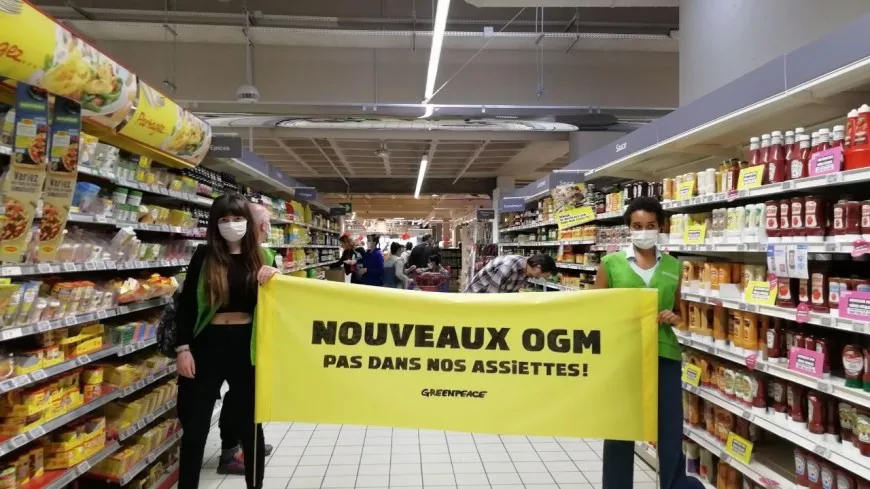 Lyon : une opération coup de poing des militants de Greenpeace contre les "nouveaux OGM"