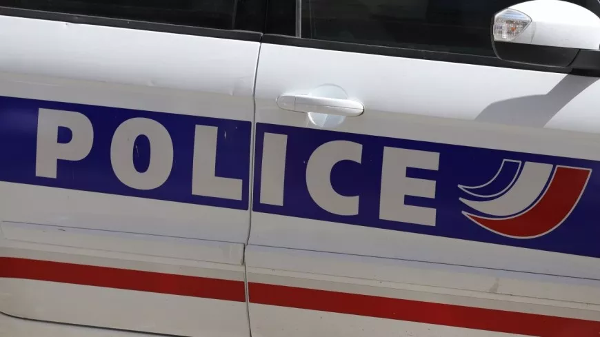 Près de Lyon : trois policiers de nouveau pris pour cible à Rillieux-la-Pape