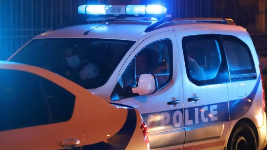 Lyon : ils cambriolent un appartement pendant que la victime dort