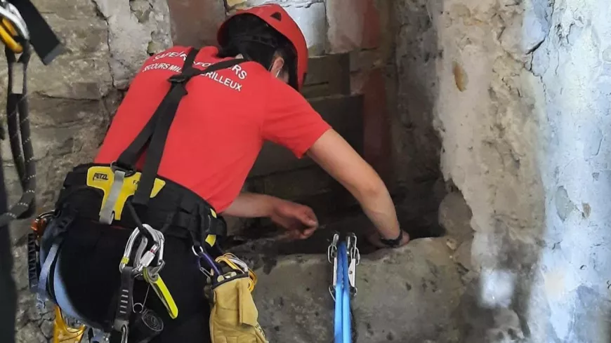 Près de Lyon : tombé dans un puits de 19 mètres de profondeur, un chat sauvé par les pompiers