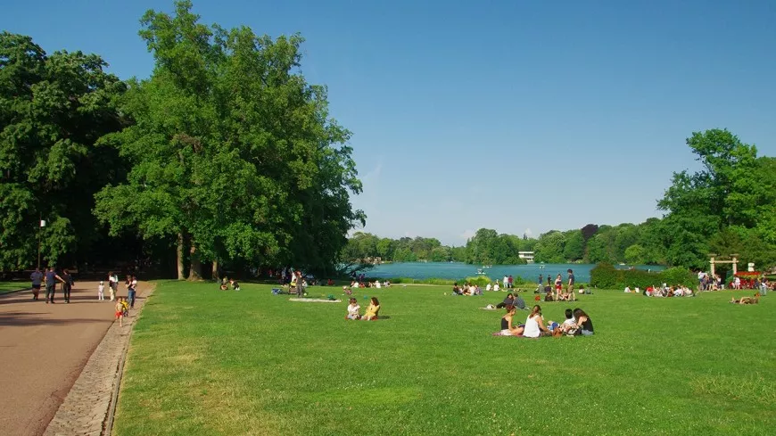Lyon : un grand pique-nique pour les célibataires au Parc de la Tête d'Or ce dimanche