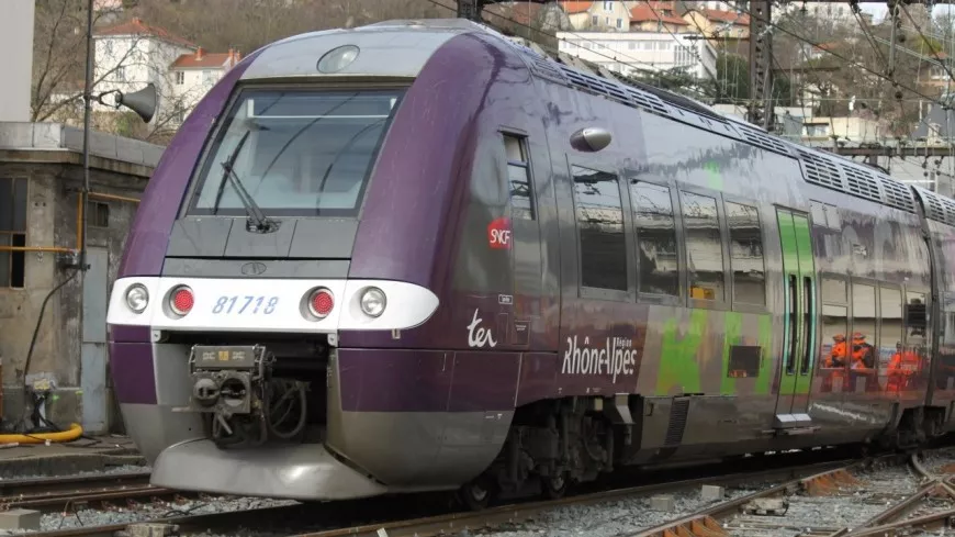 Orages : la circulation ferroviaire interrompue sur plusieurs lignes autour de Lyon