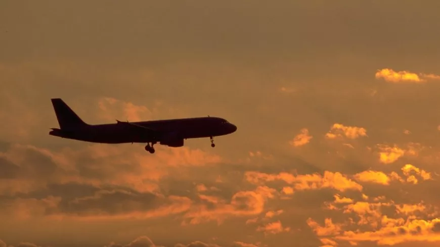 Aéroport de Lyon : un avion fait demi-tour après avoir percuté un oiseau