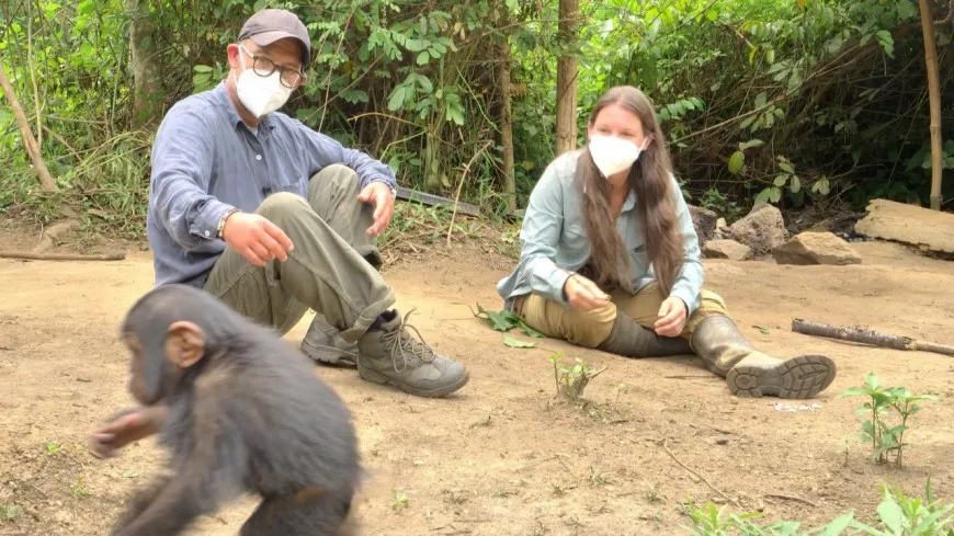 "Primates en sursis, le combat d’Amandine" : une primatologue de Lyon au cœur d’un documentaire