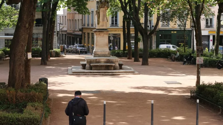Lyon : les agents de la mairie du 1er arrondissement devront désormais se déplacer en vélo électrique