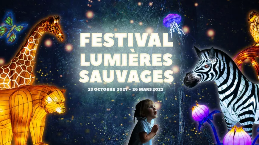 Près de Lyon : le Festival des Lumières Sauvages s’installe au Safari de Peaugres