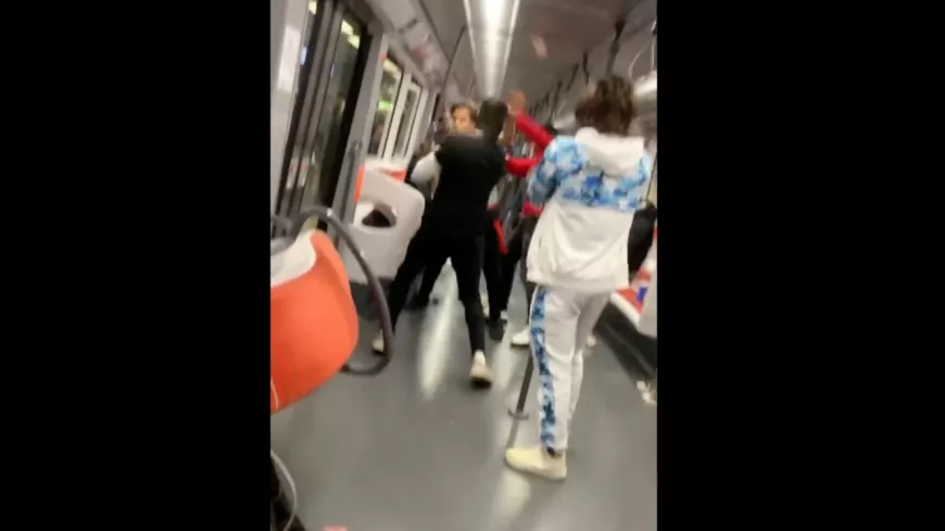 Lyon : nouvelle bagarre dans les TCL, à quatre contre un dans le métro - VIDEO