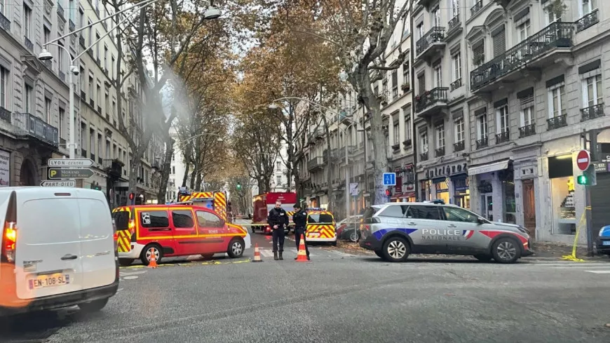 Lyon : un incendie se déclare dans un magasin, une cinquantaine de personnes évacuées