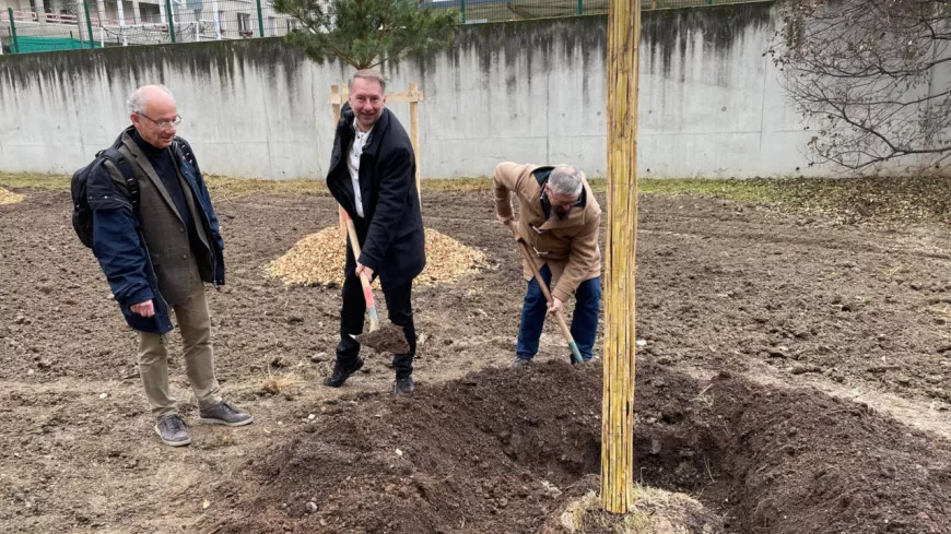 "On a besoin de nature partout" : la Métropole de Lyon veut planter des arbres dans les copropriétés