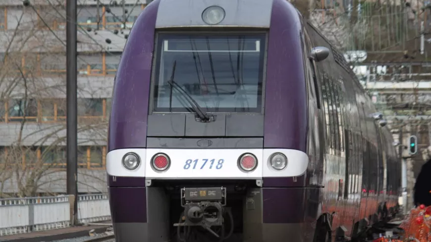 Près de 20 migrants interpellés dans un train en direction de Lyon