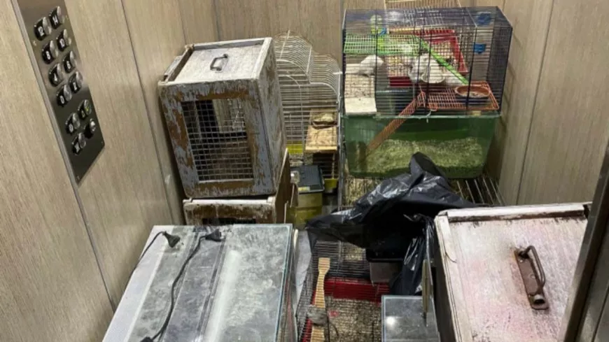 Près de Lyon : une vingtaine d’animaux sauvés dans un logement abandonné