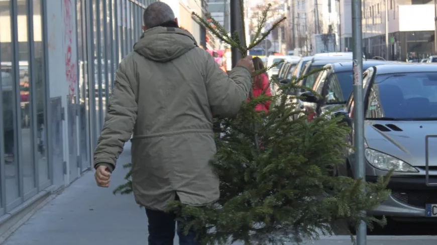 Coup d’envoi de la collecte des sapins de Noël dans la Métropole de Lyon